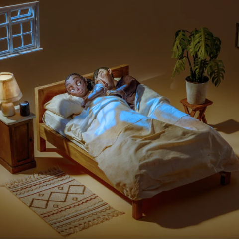 Claymation couple lying awake in bed at night, softly lit bedroom with plants and window light.